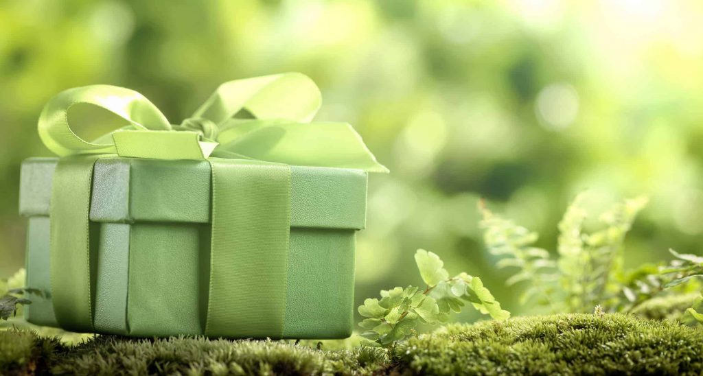, The Ultimate Green Gift Guide, Sunbolt