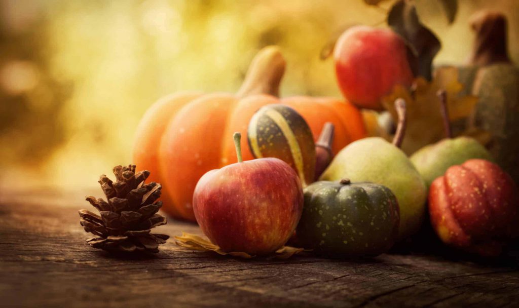 , Gobble Gobble: Tips for a sustainable Thanksgiving, Sunbolt